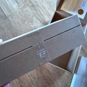 Tuscan Summer Ffern fragrance - Summer 2024